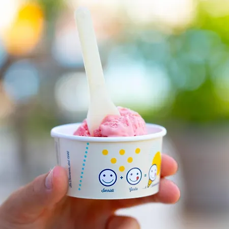 Gasparina Village 4* Castelnuovo del Garda